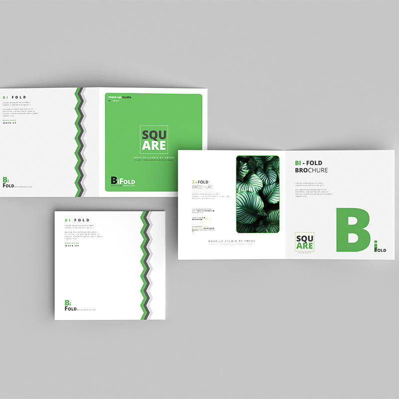 Commercial Printing Business - Impresión de Folletos y Volantes a